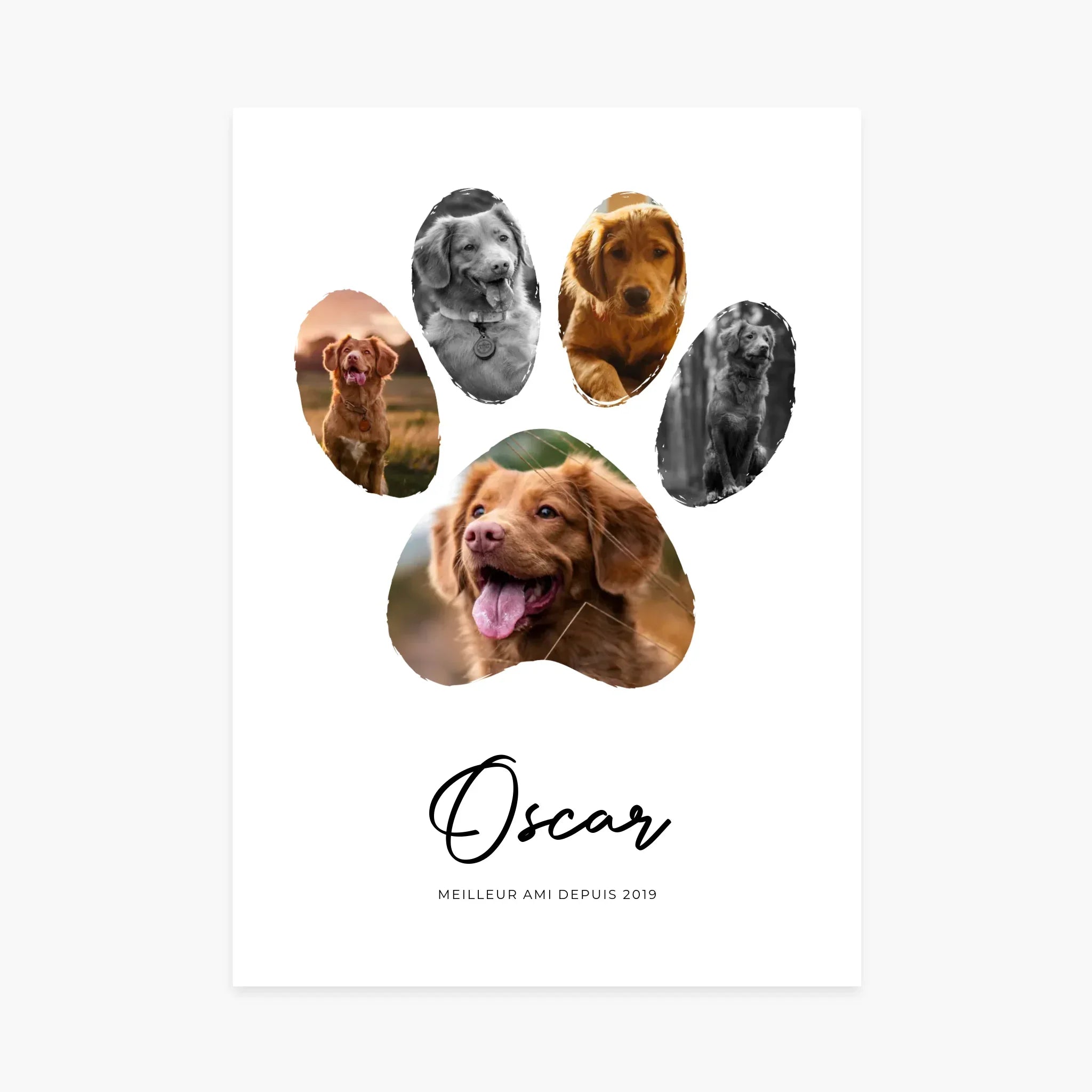 Affiche personnalisée chien, collage photos en forme de patte, texte Oscar, cadeau animalier.