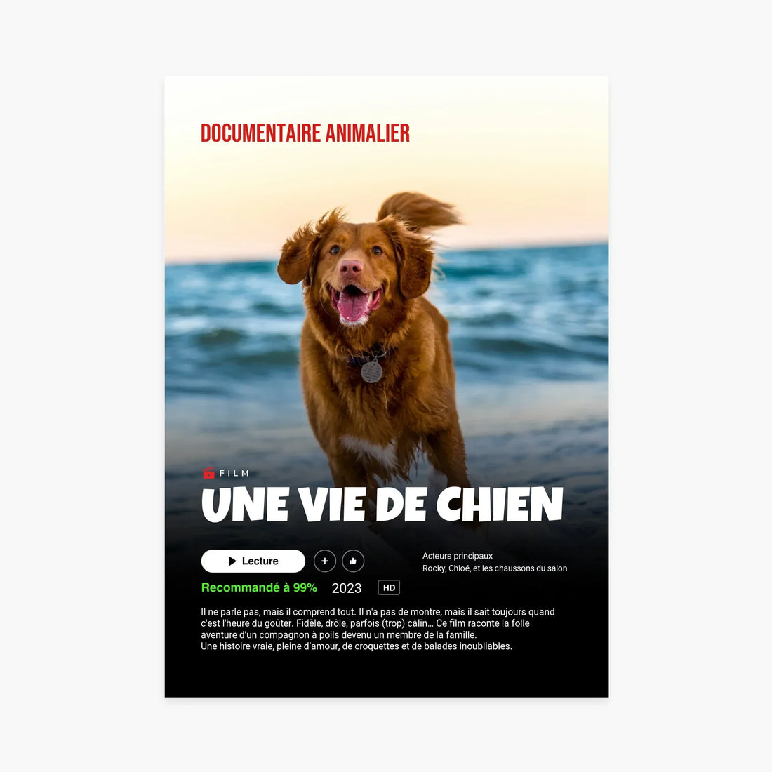 Affiche documentaire animalier avec chien marron sur la plage, titre &
