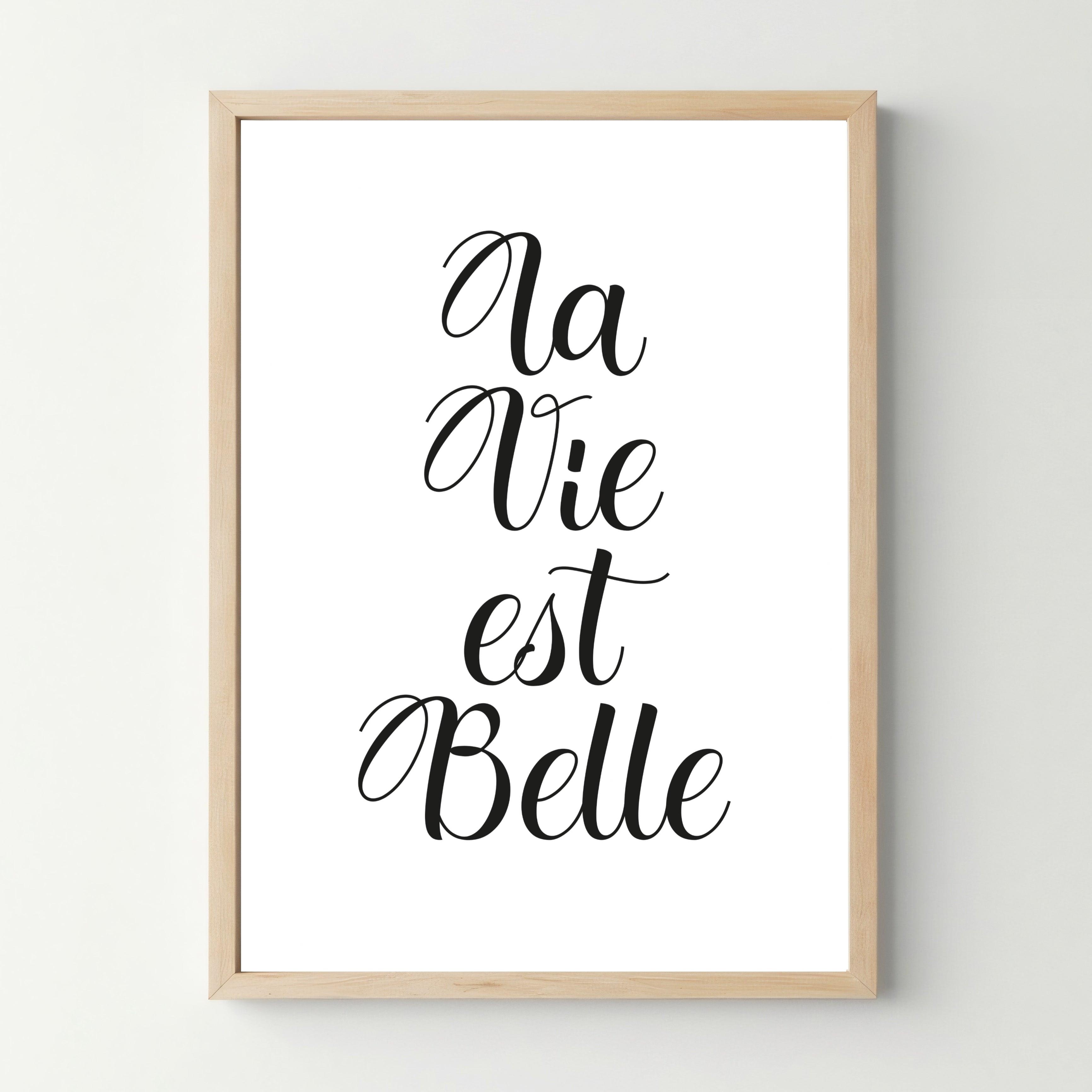 Affiche inspirante "La vie est belle" - cestfrancais.fr