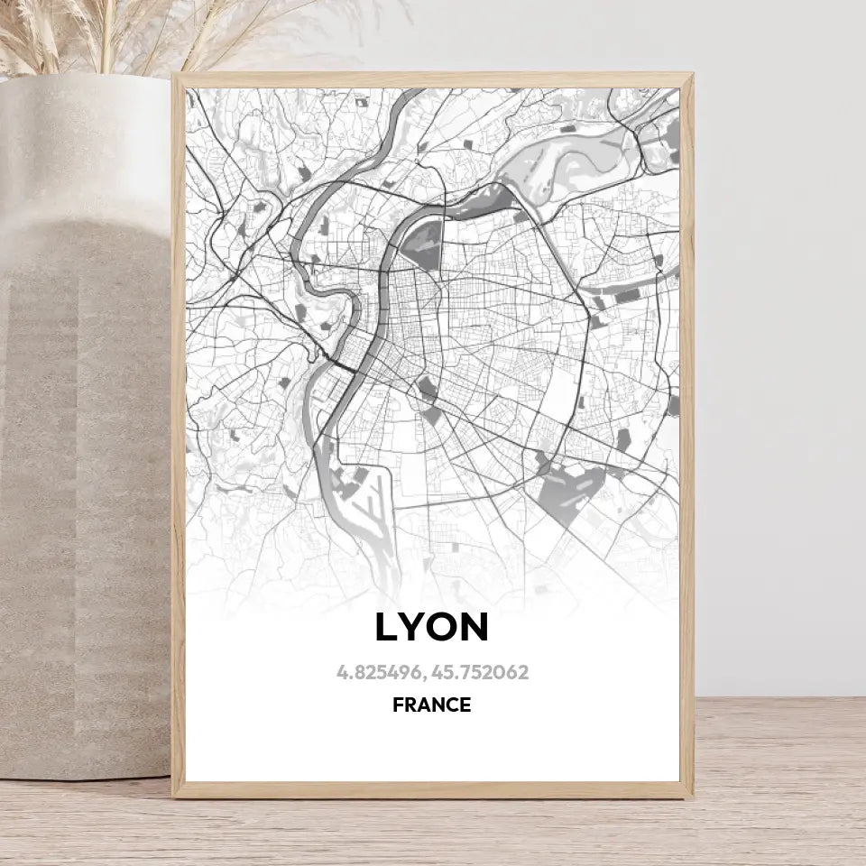 Affiche carte de Lyon