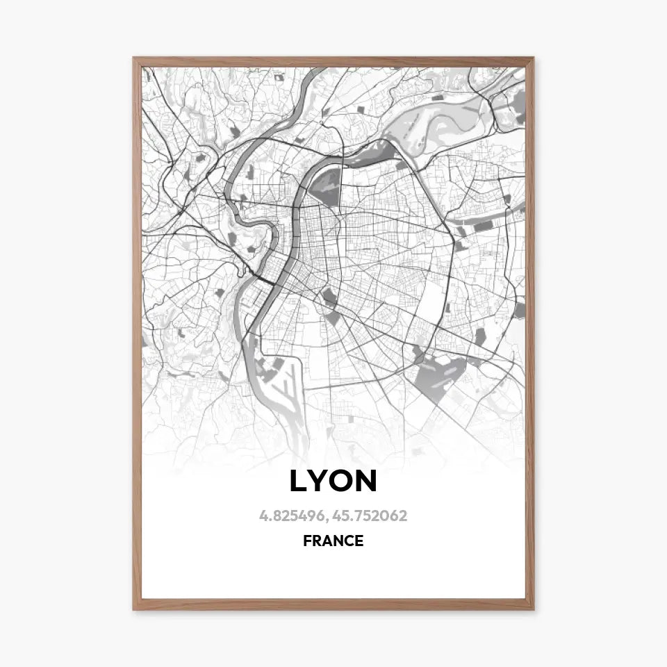 Affiche carte de Lyon