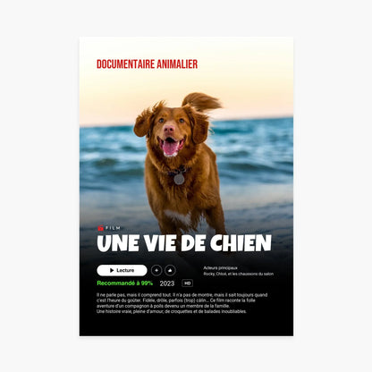 Affiche documentaire animalier avec chien marron sur la plage, titre &