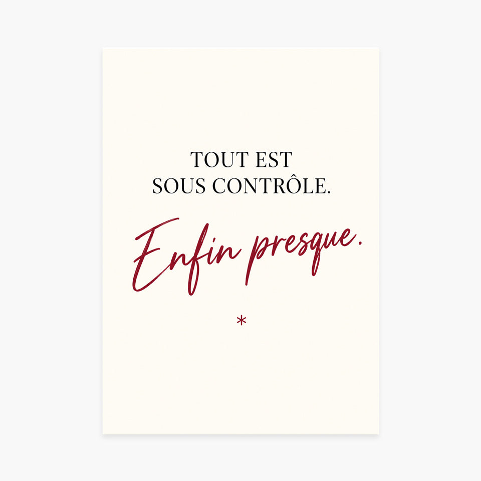 Affiche humour – Tout est sous contrôle, enfin presque — sans cadre